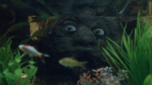 Ferran Palau / Plora aqui Ferran Palau / Plora aqui